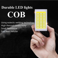 2 * T10 194 168 W5W COB LED Glass Plate Light Bulb 8V-28V White