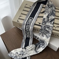 Dior 迪奧 經典圖騰 絲質 Twilly 圍巾