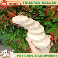Hamster Circle Wooden Bridge Stair Cage Supplies