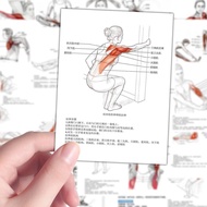 Taiwan Good Goods 128 Muscle Stretching Decomposition Action Stickers Relax Analysis Painting diy No