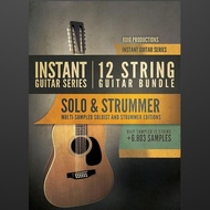 🎹 Instant Guitar Series 12-String Guitar Bundle 🎵 8DIO (Win/Mac) 🎹 Kontakt