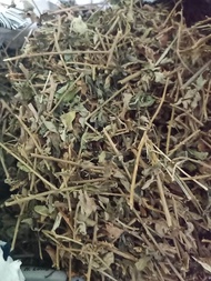 Cà gai leo chuẩn hàng loại 1 nhiều lá 82k 1 kg