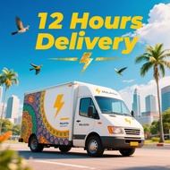 MACIO 12 Hours Delivery 鞋盒 7
