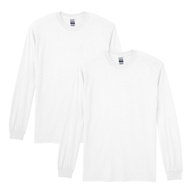 Adult DryBlend Long Sleeve T-Shirt, Style G8400, 2-Pack