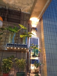 慳電特大太陽能12顆珠太陽能燈不用電戶外燈