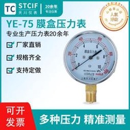 YE-75過壓防止型微壓表膜盒表20kpa瓦斯膜盒壓力錶氣壓表千帕表