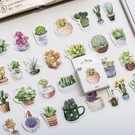26. (2types) 45/50PCS CACTUS STICKER FLAKES (B2)