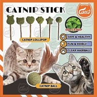 CATTO Natural Catnip Lollipop Cat matatabi teeth molar cleaning cat stick cat mint cat treat catwort