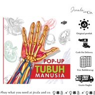 ERLANGGA - 3D POP-UP: HUMAN BODY