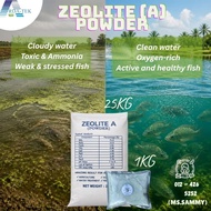 25KG - Zeolite Powder Serbuk Untuk Kolam Ikan Akuakultur Tanah Pertanian | Improve Water Quality Abs