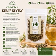 Cat's Whiskers Tea / Kidney Java Tea / Natural Herbal Tea