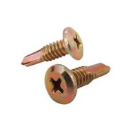 สกรูปลายสว่าน TP DEXZON WSD-16R 10 ชิ้น (1174547)