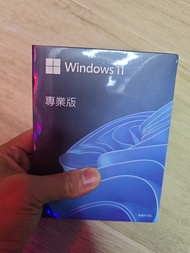 全新正版未拆 Windows 10 11 繁體字中文版 SET連安裝USB手指