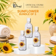 Beyond Basic Sunflower  Massage Oil 410ml  (Bundle of 3/6)
