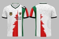 Baju Jersey  INDONESIA X PALESTINA 2023 FULLPRINTING limetid editon  jersey bola anak dewasa