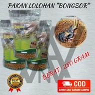 AMS LOLOH BONGSOR BRAL BRUL KRAKATAU R&D RnD PAKAN MAKANAN LOLOH LOLOHAN ANAKAN PIYIK BURUNG MURAI K