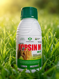Fungisida TOPSIN M 500 SC 500ml