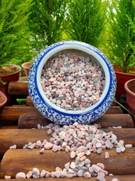GHZ - 1KG Mix Color Pebble Stone Aquarium and Plants Decoration Gardening Landscape Batu Campur Warna