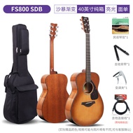 Gitar YAMAHA FG800 FSX untuk Pemula, Gitar Akustik-Elektrik Kayu Padu untuk Lelaki dan Wanita