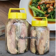 Ikan Masin Tenggiri / Tenggiri Masin / Kailan Ikan Masin