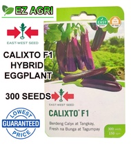 EZ EAST WEST TALONG HYBRID F1 ORIGINAL SEALED CALIXTO F1 HYBRID 300 SEEDS PLANTING VEGETABLE SEEDS E