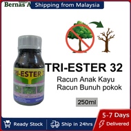 Tri Ester 32 Racun Rumput Serap Matikan Akar Pokok Kayu Besar Ubat Pembunuh Pokok Sawit Besar Garlon