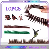 10Pcs Bendable Anti Bird Spike Outdoor Bird Pigeon Cat Deterrent Spike For Garden Window Fences Roof