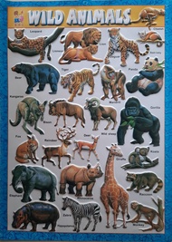 Poster Timbul Tempel Dinding Anak Belajar Binatang Wild Animals Hewan Buas