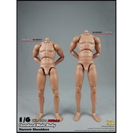 *ready stock* 1/6 Coomodel Standard Male Body - BD001 / BD002