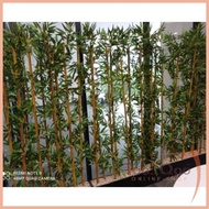 Terbatas!! partisi bambu 50cm/bambu plastik/bambu hias Berkualitas