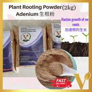 Plant Rooting Powder 生根粉 Serbuk Pengalak Akar [2KG] Garden Planting