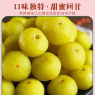 Grapefruit Glycerin Orange Fruit Embryo Oil Glycerin Fruit Bag Fujian Hokkien Specialty Beef Glyceri