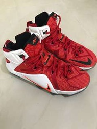 Lebron12