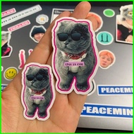 YB2 G-DRAGON cat toy ZOA cartoon stickers GD PEACEMINUSONE UBERMENSCH fans gift BIGBANG BY2