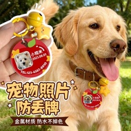 Customized Pet Dog Cat Tag Identity Tag Customized Photo Dog Necklace Anti-Lost Jewelry Collar Cat T