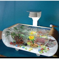 Aquarium Mini Lengkap Mesin Aerator/ gelembung