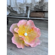 Giant chiffon flower [Giant chiffon flower head]