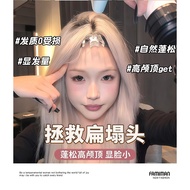 YQ Klip Rambut Akar Gebu Anti Leper 9CM Hair Root Volumizing Clip Anti Flat 9CM