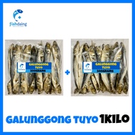 FishDaing.Ph DRIED SEAFOOD GALUNGGONG TUYO 1Kilo