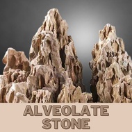 Alveolate Aquascape Stone ,Aquarium Decoration Rock 松皮石