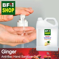 Anti Bacterial Hand Sanitizer Gel with 75% Alcohol  - Ginger Anti Bacterial Hand Sanitizer Gel - 5L