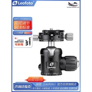 Laitu/Leofoto NB-34Ptz 34Millimeter Sphere Yajia Specification Double Panoramic Free Damping Adjustm