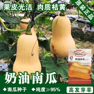 Pumpkin Seeds Pumpkin Seeds Vegetable Seeds Vegetable Seeds Vegetable Seeds Seeds Wholesale Melon Fr