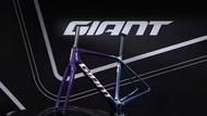 捷安特giant tcr adv pro disc最新款碟剎公路車架  三個顏色  尺碼xs s m ml