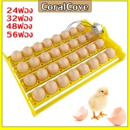 CoralCove รางฟักไข่ ถาดฟักไข่ รุ่น 24ฟอง 32ฟอง 48ฟอง 56ฟอง ถาดกลับไข่ ถาดผลิกไข่ กลับไข่อัตโนมัติ สำหรับตู้ฟักไข่ไก่ ไข่เป็ด 220V พร้อมมอเตอร์