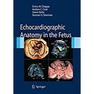Echocardiographic Anatomy In The Fetus