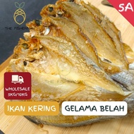 [12KG/Box] Ikan Masin Gelama Belah Tawar 100% SEGAR Borong- The Fisherman