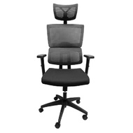 เก้าอี้เพื่อสุขภาพ เฟอร์ราเดค เคลลี่