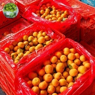 Buah jeruk Santang madu birma keranjang 6kg buah