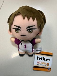 全新連吊牌 排球少年白鳥沢毛公仔吊飾